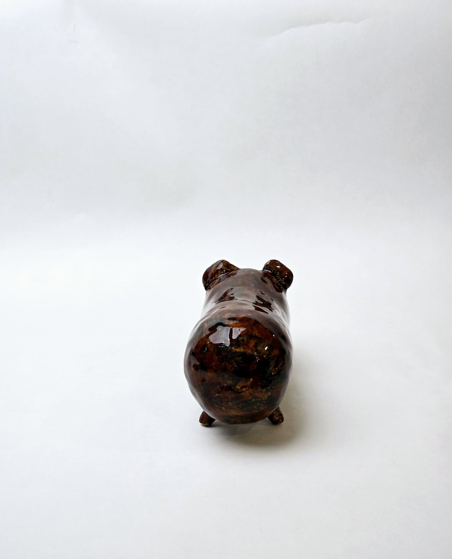 Świnka morska – mała ceramiczna towarzyszka