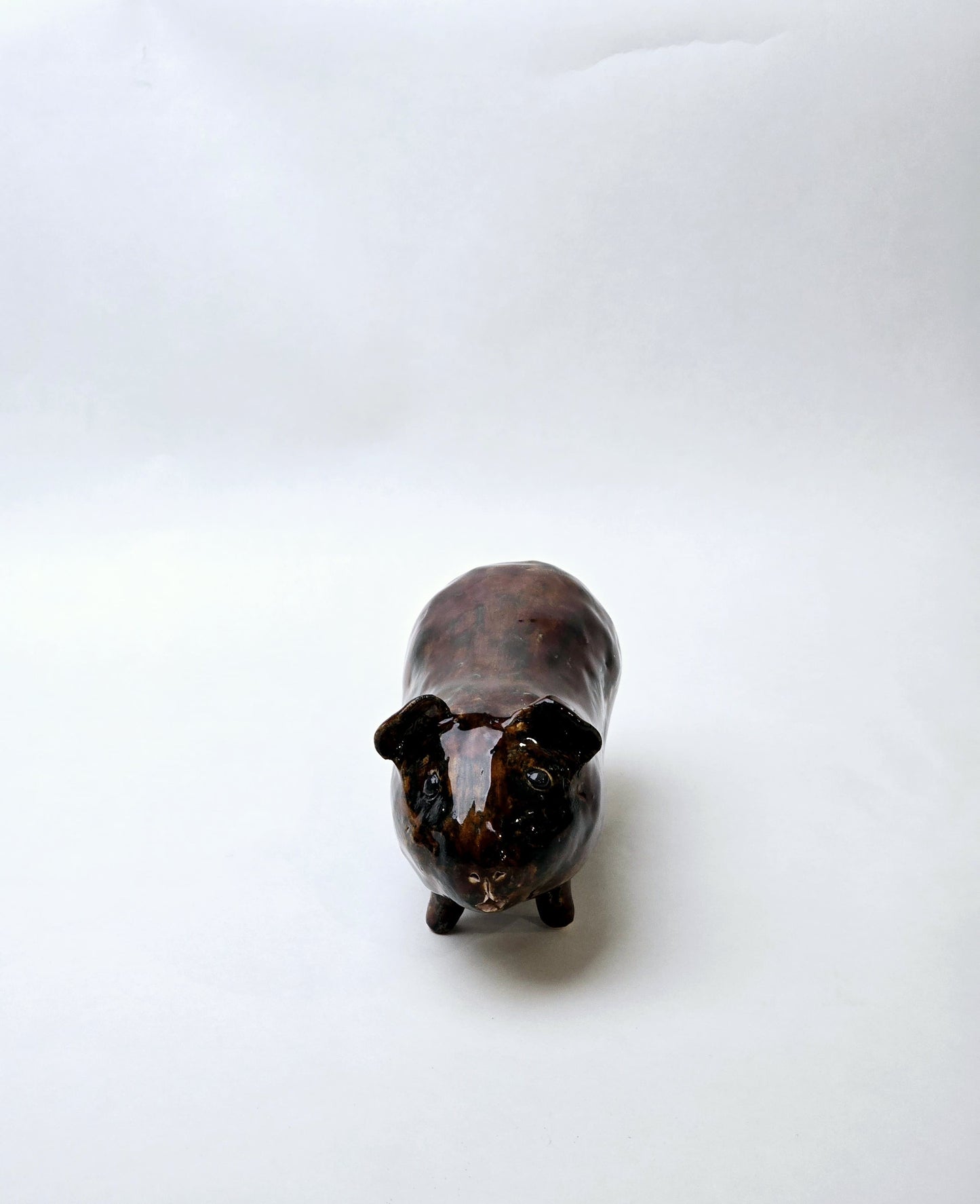 Świnka morska – mała ceramiczna towarzyszka
