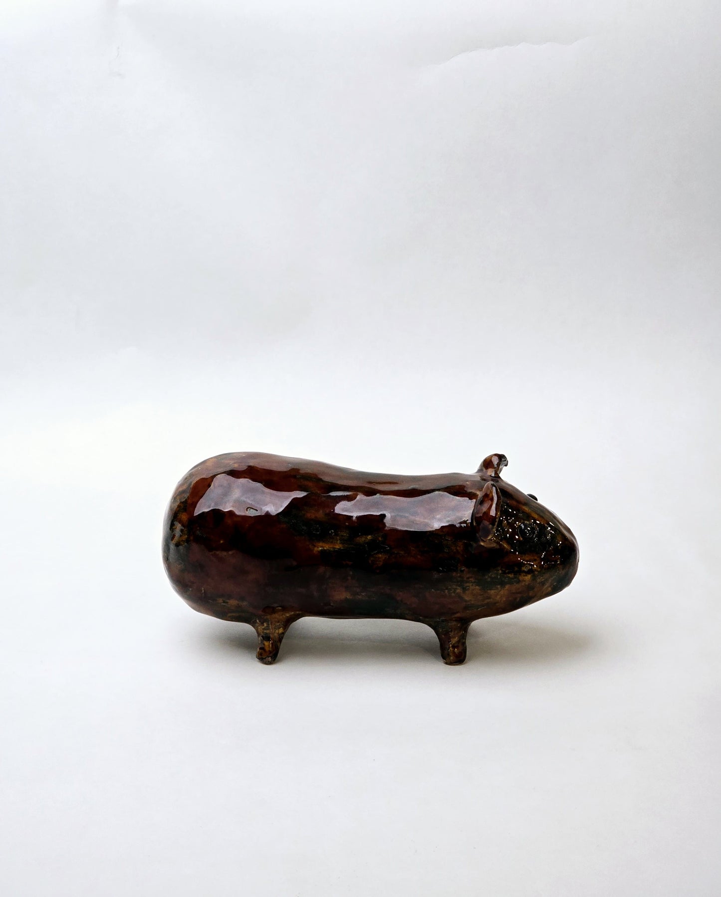 Świnka morska – mała ceramiczna towarzyszka