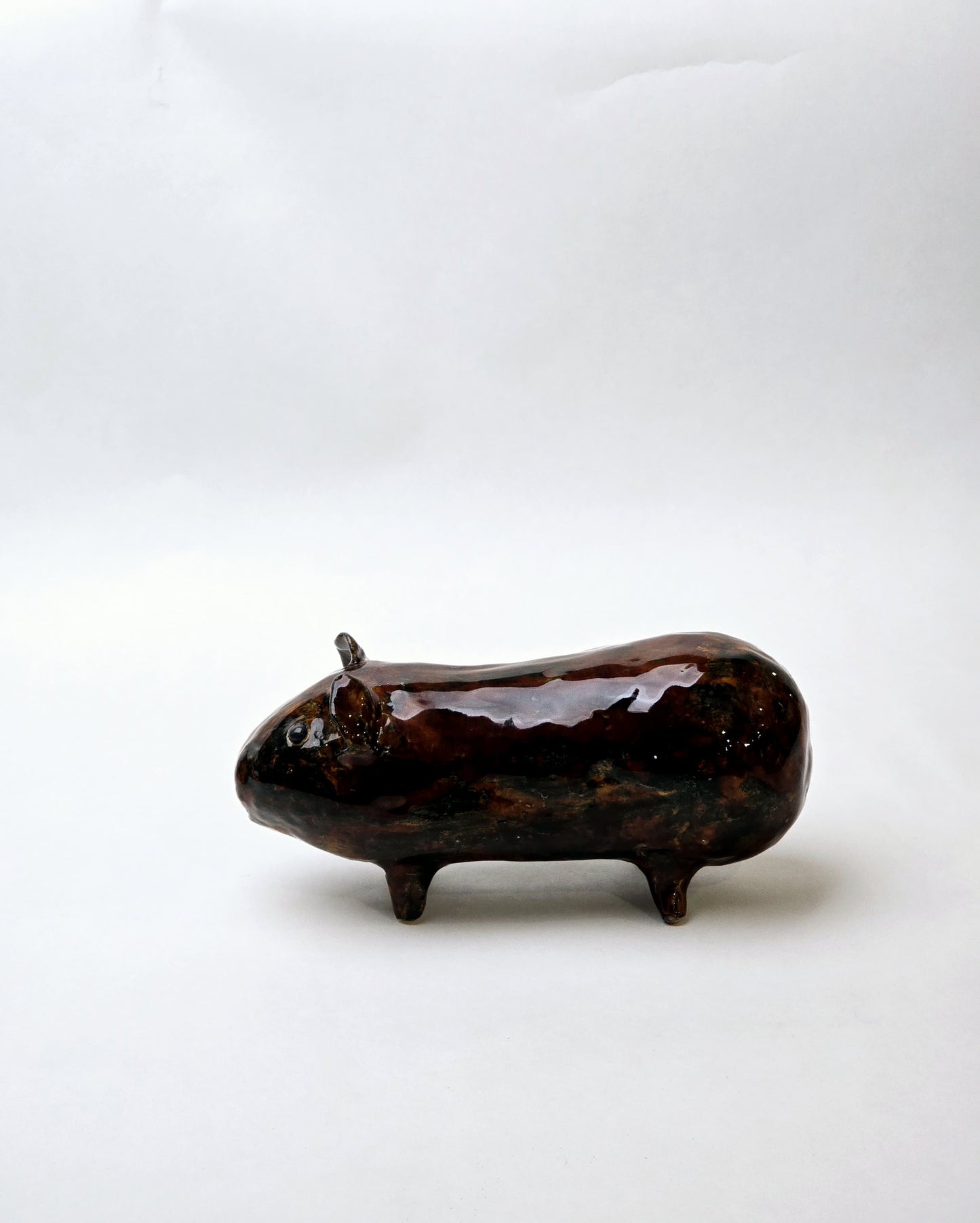 Świnka morska – mała ceramiczna towarzyszka