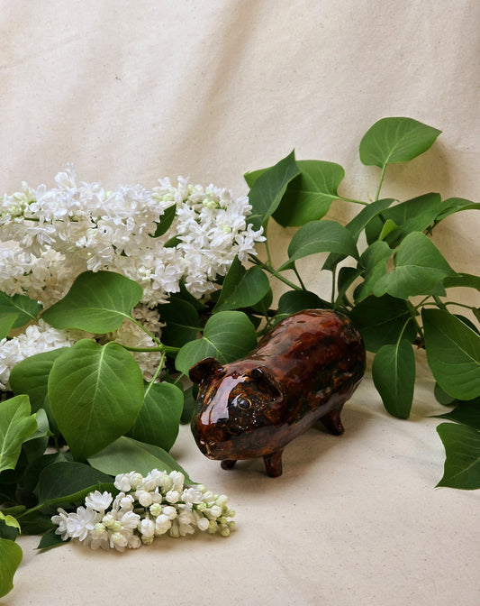 Świnka morska – mała ceramiczna towarzyszka