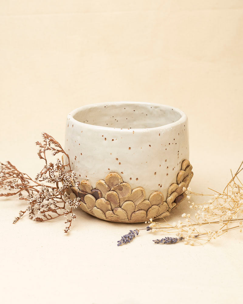 Osłonka Sierpniowe Pola