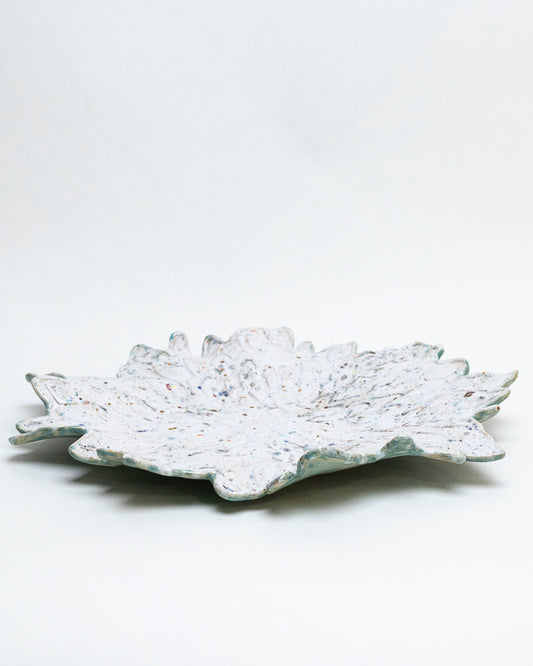 Patera śnieżny liść